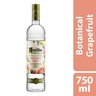 Vodka Ketel One Botanical Grapefruit & Rose 750ml