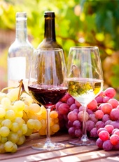 Quais os tipos de uvas mais utilizados para a produção de vinho?