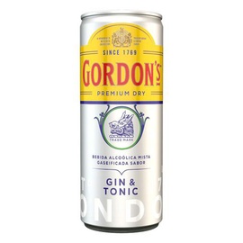 Gin e Tonic Gordons 269ml