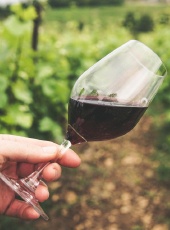 Vinho: a bebida milenar que fermenta sozinha