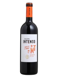 Salton Intenso Merlot Tannat 2017 750ml